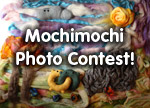 Mochimochi Land Photo Contest!