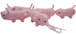 Sausage Dogs